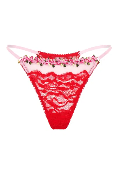 Wild Lovers London Women's Pink Celia Thong In Red