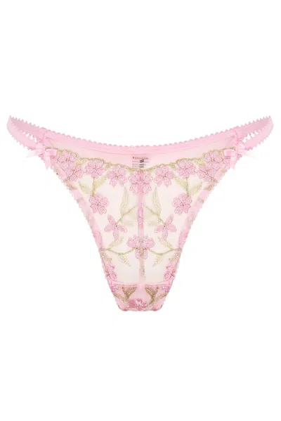 Wild Lovers London Women's Pink / Purple Aurelie Thong In Multi