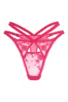Wild Lovers London Women's Pink / Purple Isabella Brief In Pink/purple