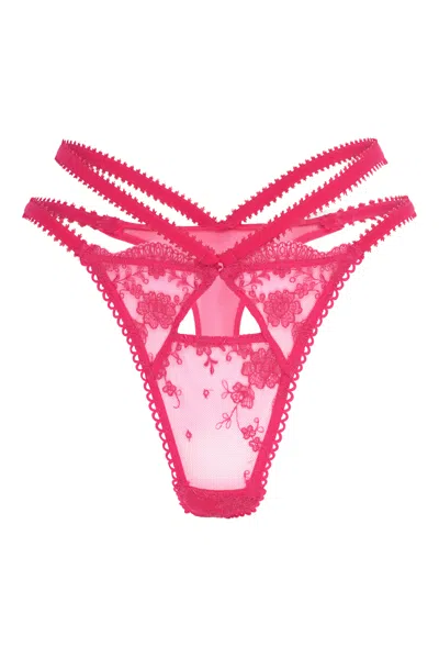 Wild Lovers London Women's Pink / Purple Isabella Brief In Pink/purple