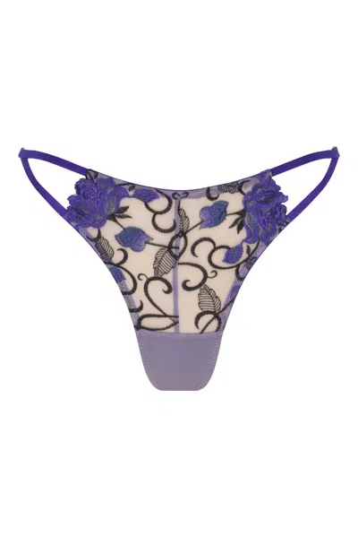 Wild Lovers London Women's Pink / Purple Sissy Brief In Pink/purple