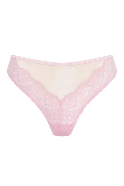 Wild Lovers London Women's Pink / Purple / Yellow Alba Brief In Multi
