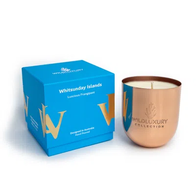 Wild Luxury Collection Rose Gold Whitsunday Islands Candle - 225g