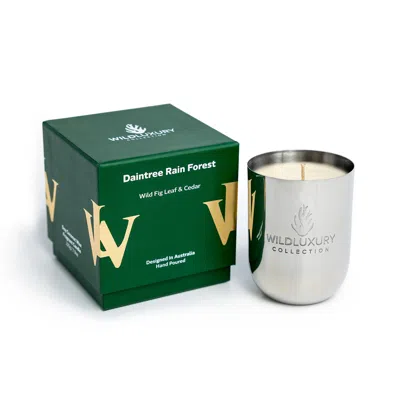 Wild Luxury Collection Silver Daintree Rain Forest Candle