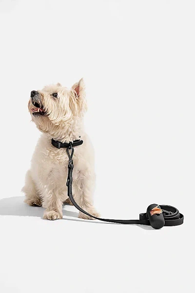 Wild One Adjustable Dog Leash In Black At Urban Outfitters