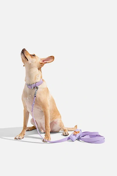 Wild One Adjustable Dog Leash In Lilac At Urban Outfitters In Purple
