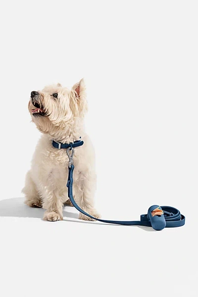 Wild One Adjustable Dog Leash In Navy At Urban Outfitters In Blue