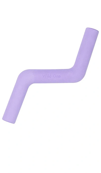 Wild One Bolt Bite Chew Toy In Lavender