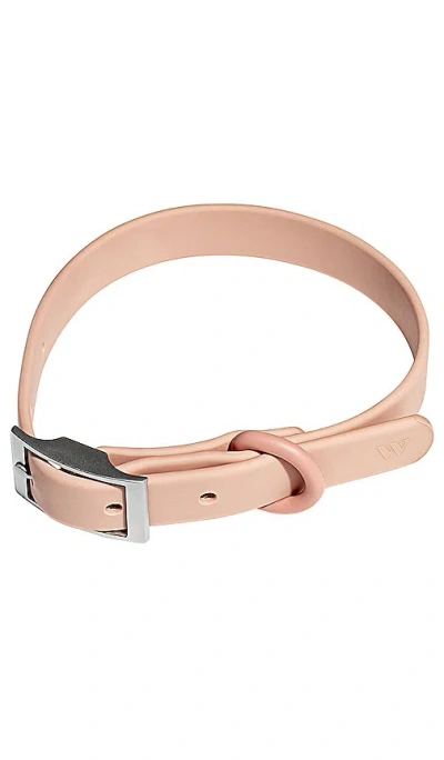 WILD ONE COLLAR