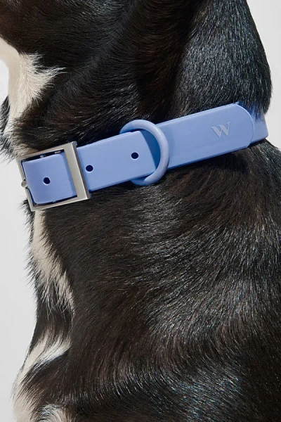 Wild One Dog Collar In Moonstone At Urban Outfitters In Blue