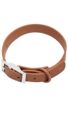 Wild One Medium Collar In 深褐色