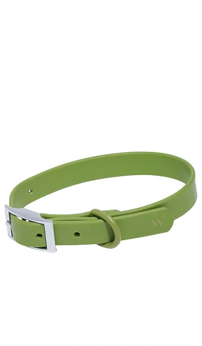 WILD ONE COLLAR
