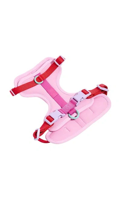 Wild One Extra Small Harness In Bubblegum Colorblock