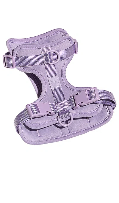 Wild One Extra Small Harness In Lavender