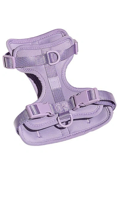 Wild One Harness In Lilac