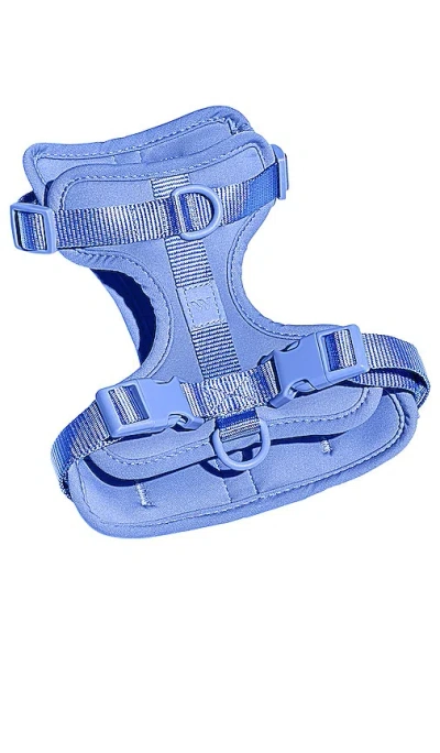 Wild One Harness In Moonstone