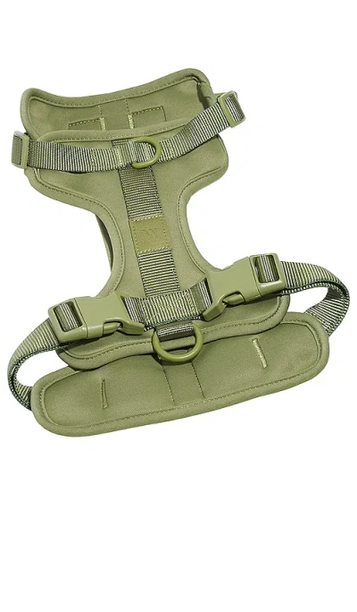 Wild One Large Harness In Green