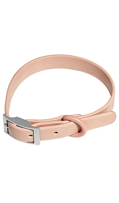 Wild One Medium Collar In Blush