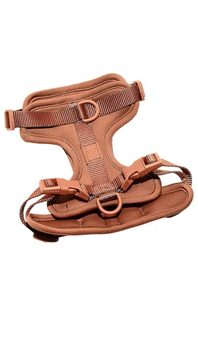 Wild One Medium Harness In Brown