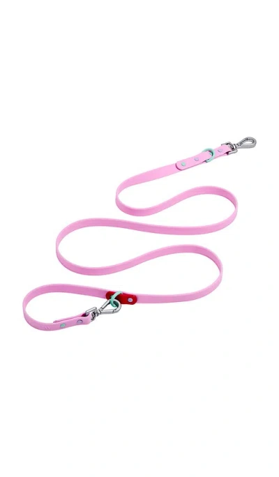 Wild One Small Leash In Bubblegum Colorblock