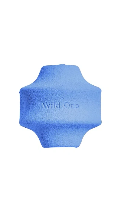 Wild One Twist Toss Toy In Blue