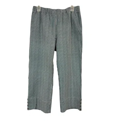 Wild Palms Women's Mini Stripe Capri Pant In Seacliff/denim In Multi