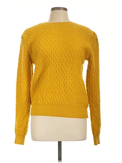 Pre-owned Wild Pony Pullover Sweater In Yellow