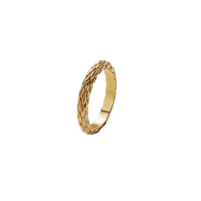 Wild Sons Men's Viper Gold Ring