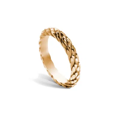 Wild Sons Women's Secret Medusa Gold Ring