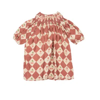 Wild Wawa Babies'  Clara Dress In Pink