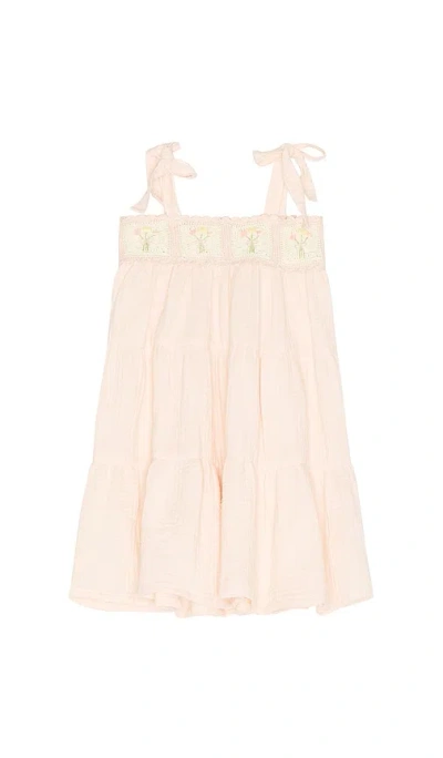 Wild Wawa Crochet Dress In Pink