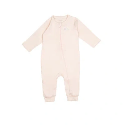 Wild Wawa Babies'  Pima Embroidered Footless Sleeper In Brown