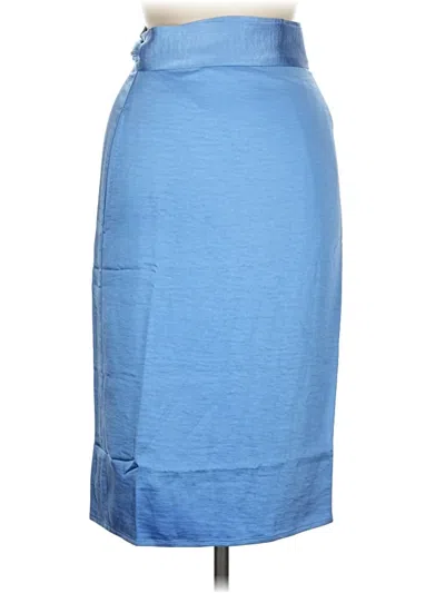 Pre-owned Wildfang Casual Skirt In Blue