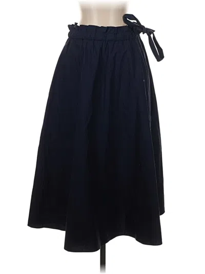 Pre-owned Wilfred Casual Skirt In Blue