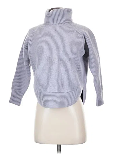 Pre-owned Wilfred Free Turtleneck Sweater In Blue