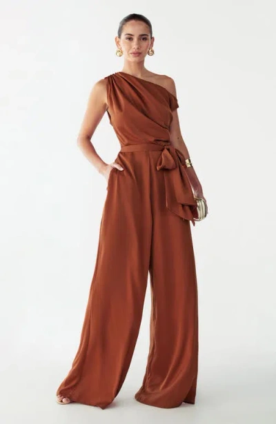Willa Sky Jumpsuit In Brown
