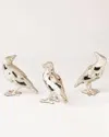 William D Scott Deconstructed Birds Sculptures, Set Of 3 In Silver Leaf