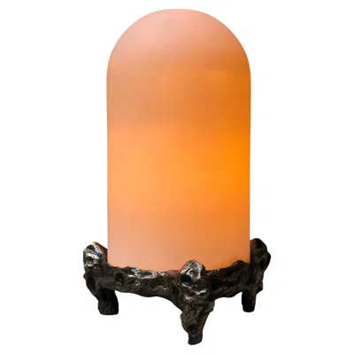 Pre-owned William Guillon Nova Table Lamp In Patinated Cast Bronze By  In Gold