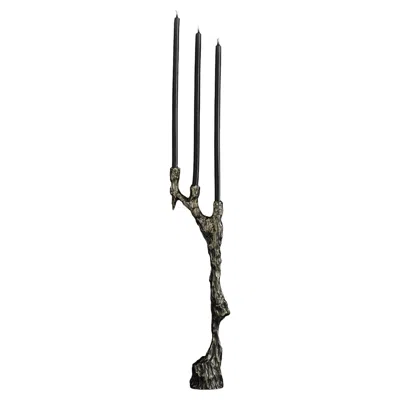 Pre-owned William Guillon Omnia Vanitas Vanité 19 Candelabra In Patinated Cast Bronze By  In Gold