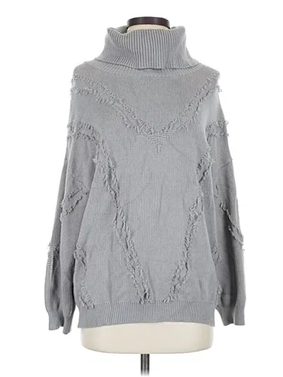 Pre-owned Willow & Root Turtleneck Sweater In Gray