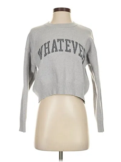 Pre-owned Willow & Wind Pullover Sweater In Gray