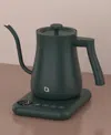 Willow Kitchen Willow Digital Gooseneck Kettle In Green