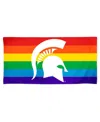 Wincraft Michigan State Spartans 30'' X 60'' Pride Spectra Beach Towel In Multi