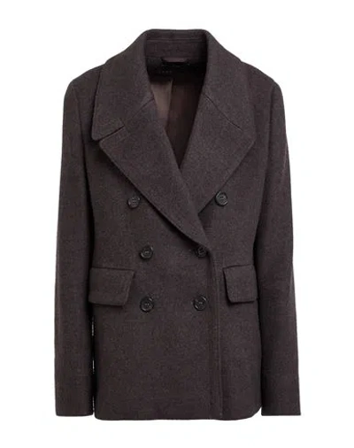 Windsor . Woman Coat Dark Brown Size 10 Virgin Wool, Cashmere
