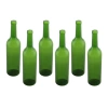 Wine Bodies Plastic Wine Bottle Empty Display In Green