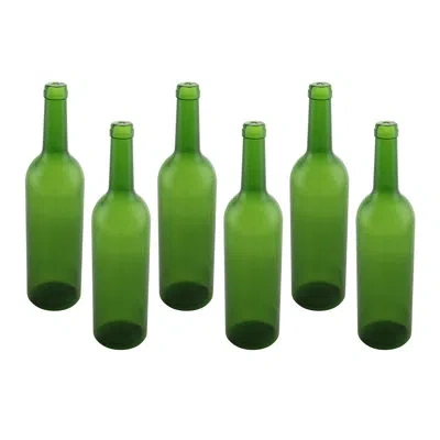 Wine Bodies Plastic Wine Bottle Empty Display In Green