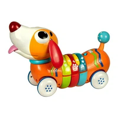 Winfun Rc Rainbow Pup In Multi
