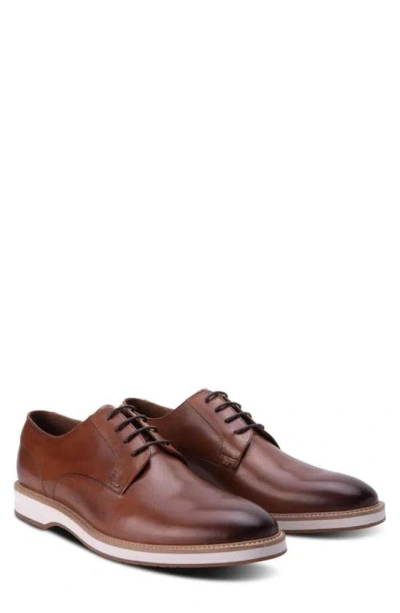 Winthrop Pelton Suede Derby In Cognac