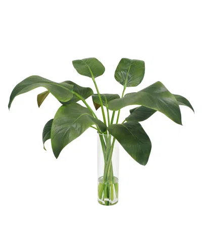 Winward Calla Leaf In Slim Round Vase