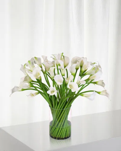 Winward Calla Lily In Clear Cylinder Vase